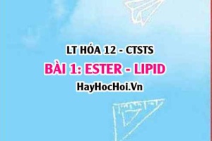Ester - Lipid là gì? Đặc điểm cấu tạo, tính chất vật lí, hóa học của Ester Lipid, điều chế và ứng dụng? Hóa 12 bài 1 CTST